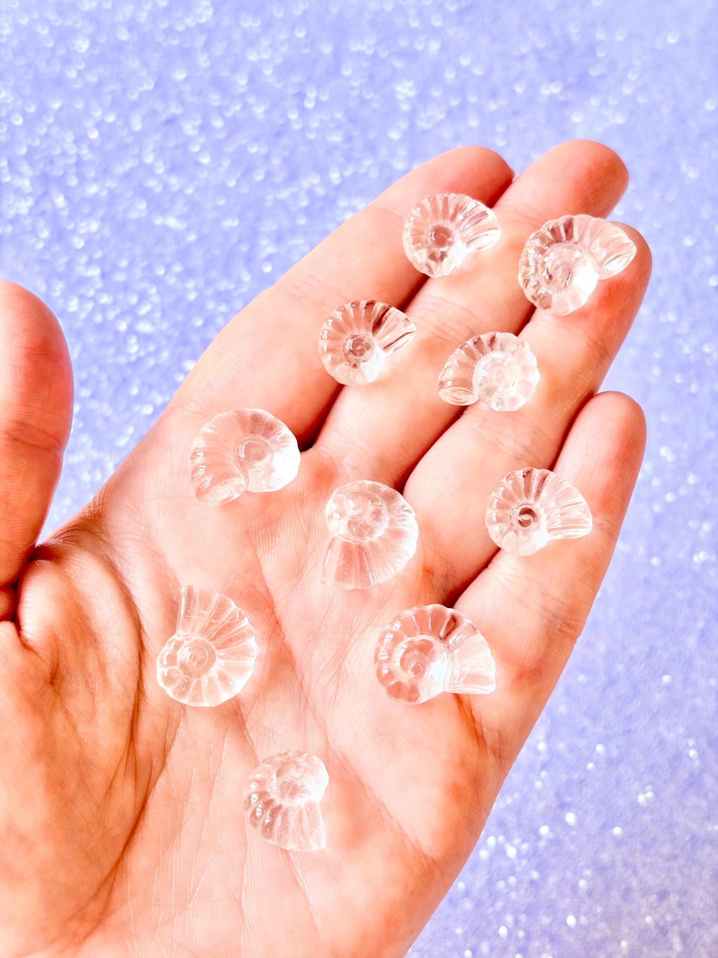 Clear Quartz Ammonite shell