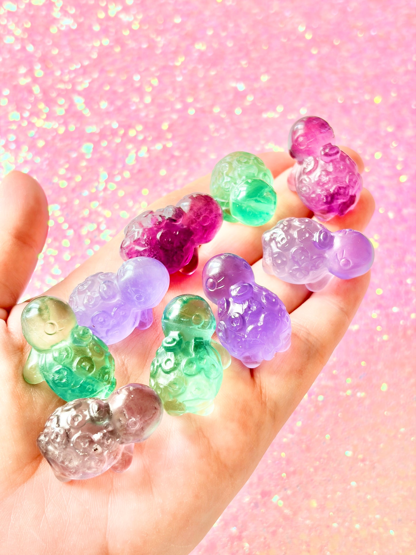 Rainbow fluorite tortoise