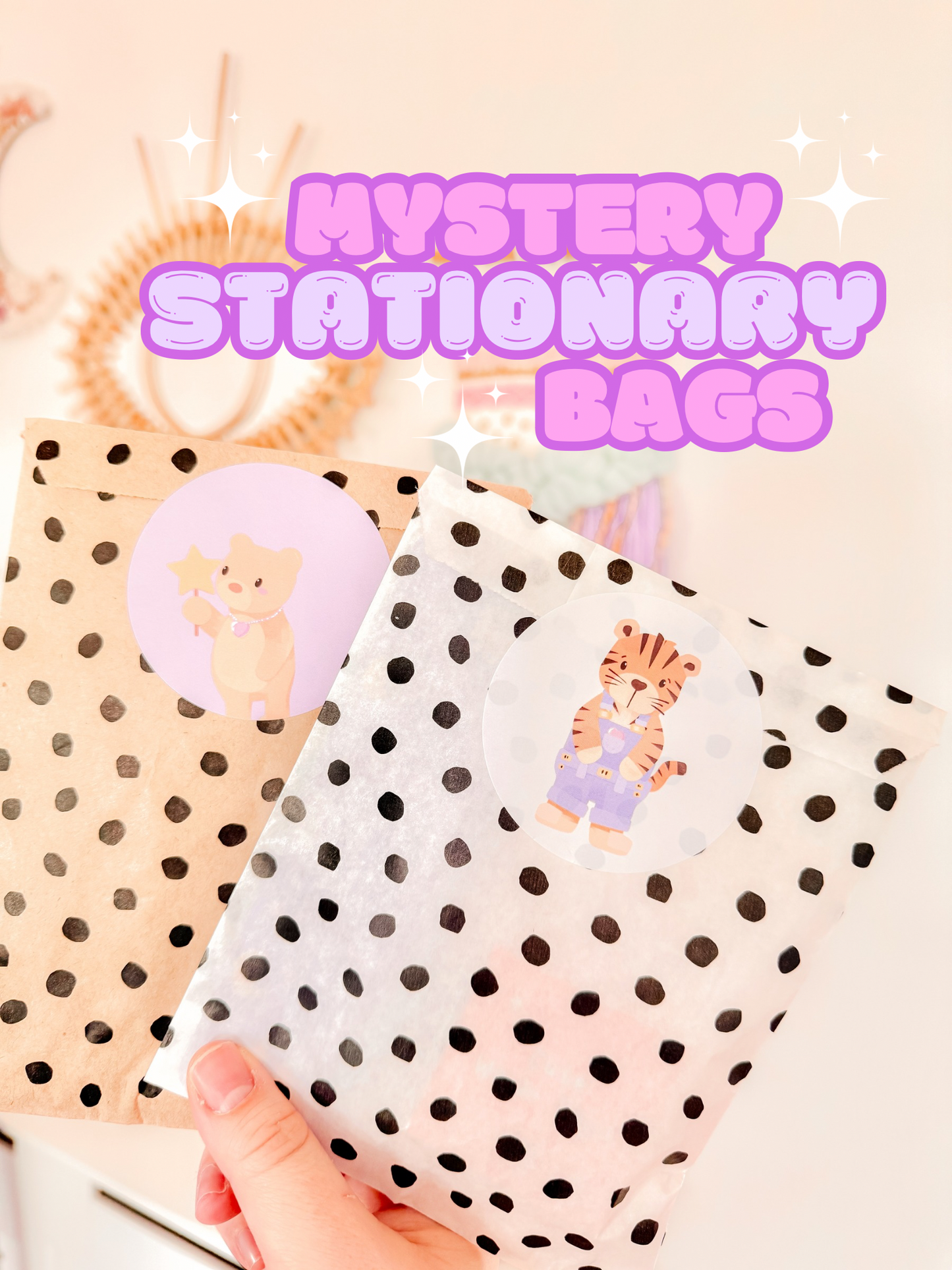 Mystery Stationary Bags