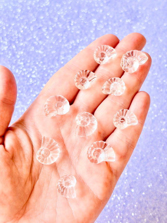 Clear Quartz Ammonite shell