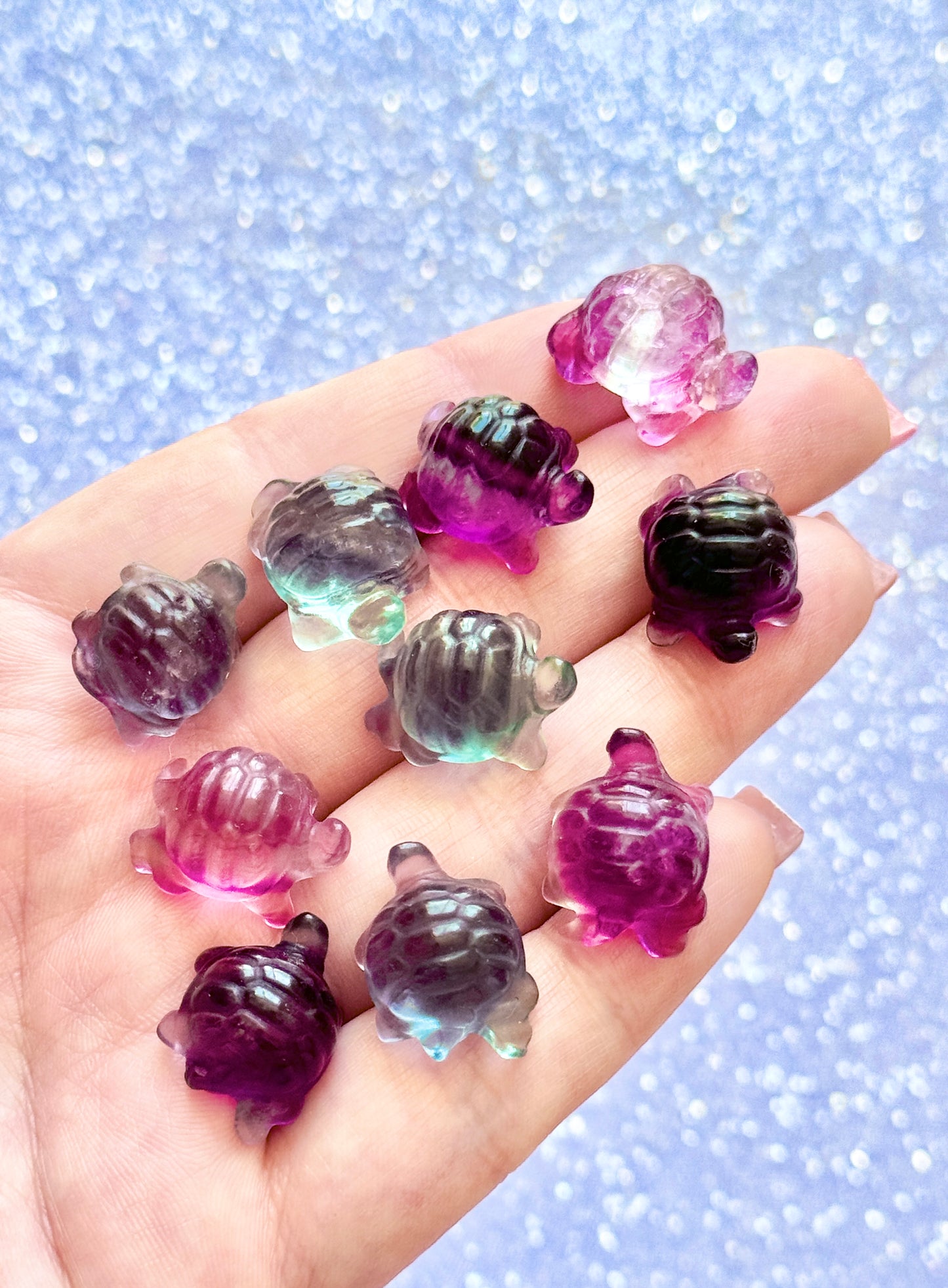 Fluorite Tortoise