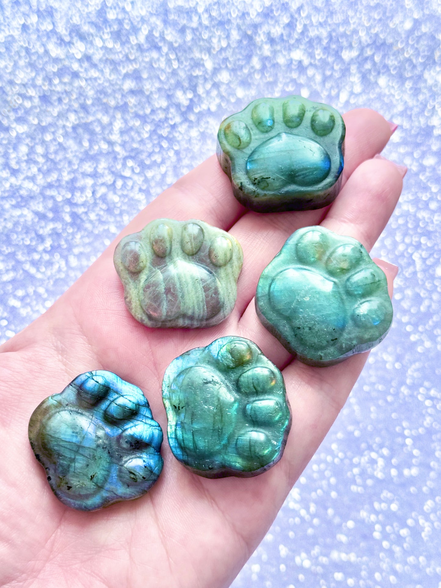 Labradorite paws