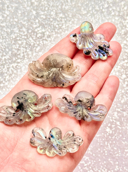 Moonstone Octopus