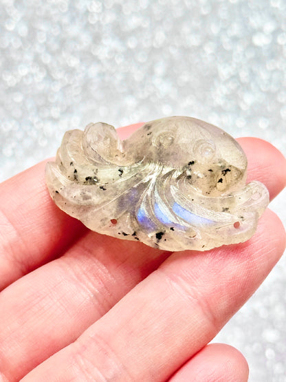 Moonstone Octopus