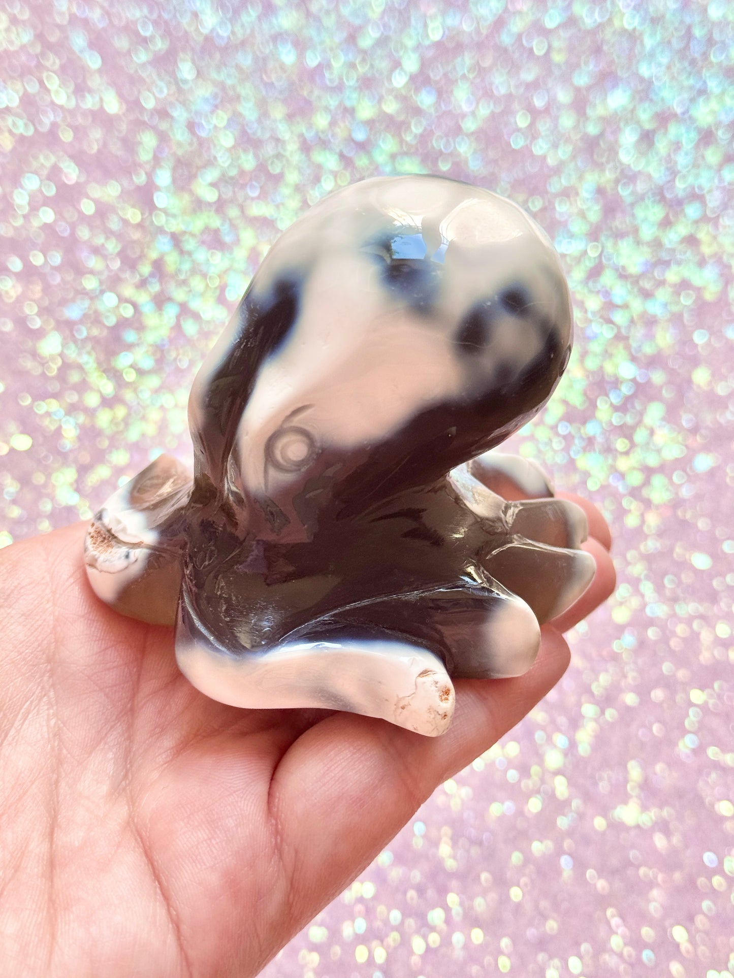 Orca Agate Octopus - B