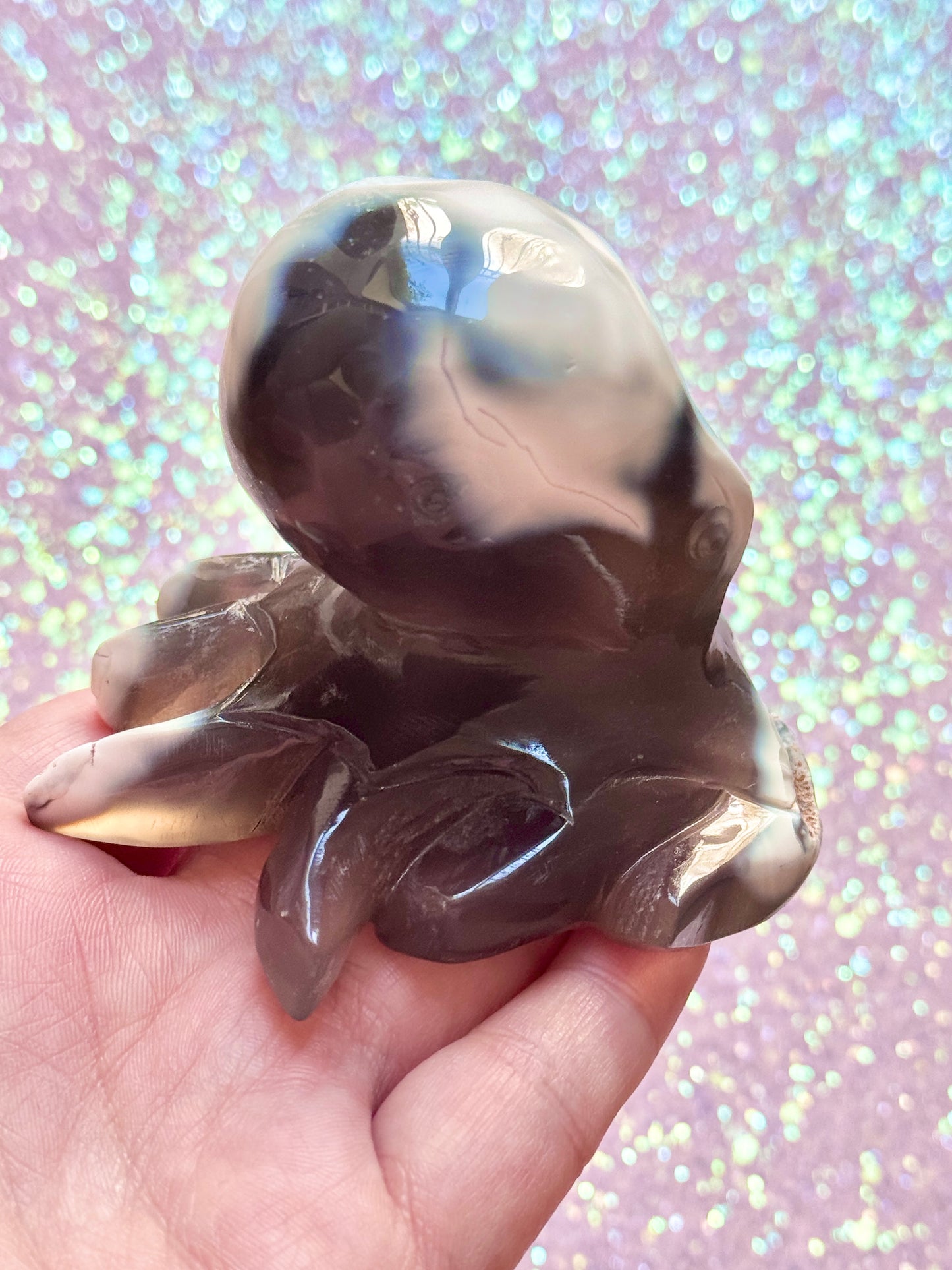 Orca Agate Octopus - B