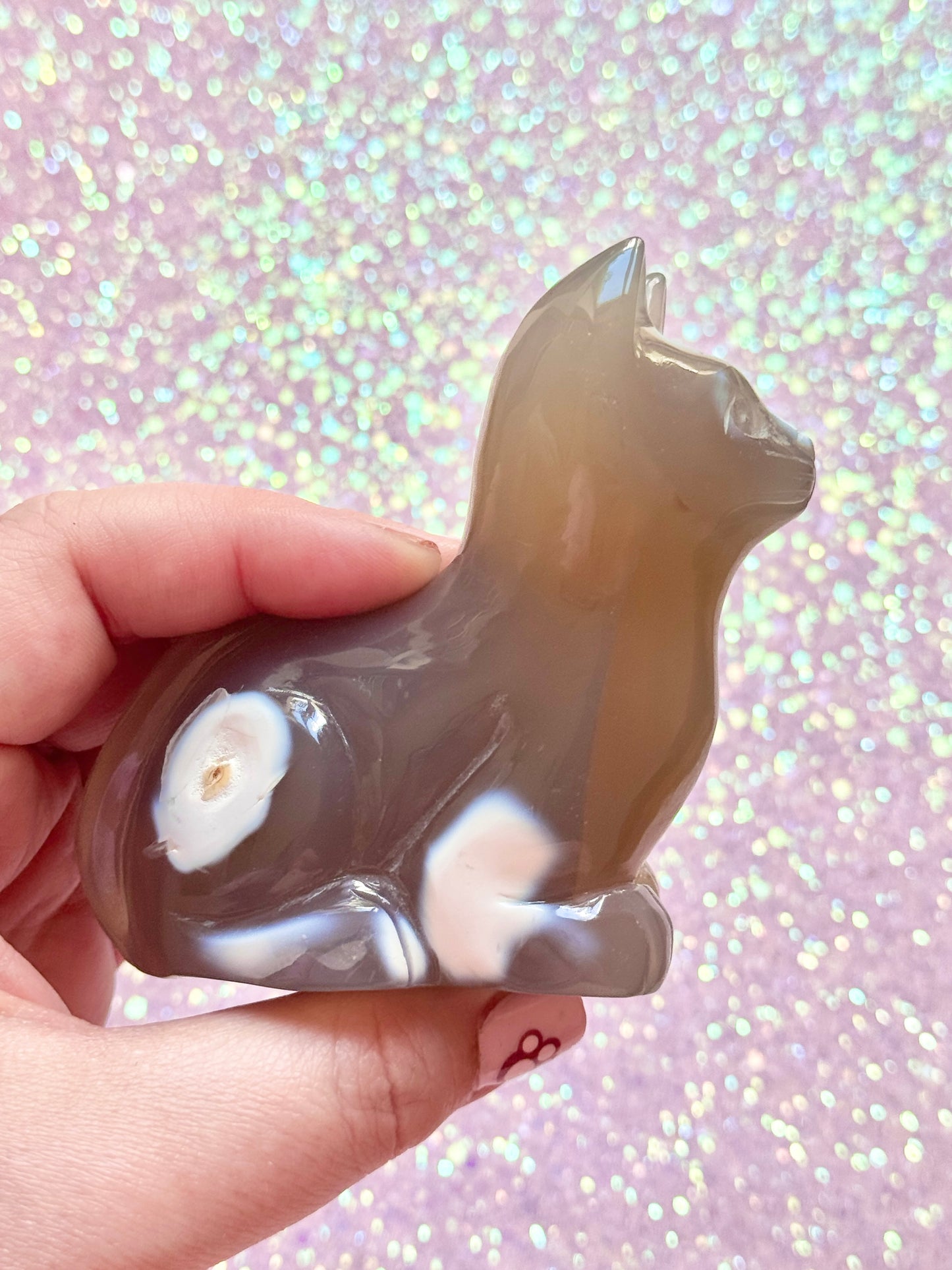 Orca Agate Cat