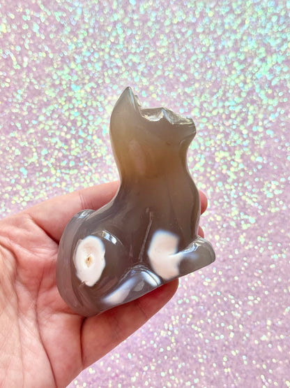 Orca Agate Cat