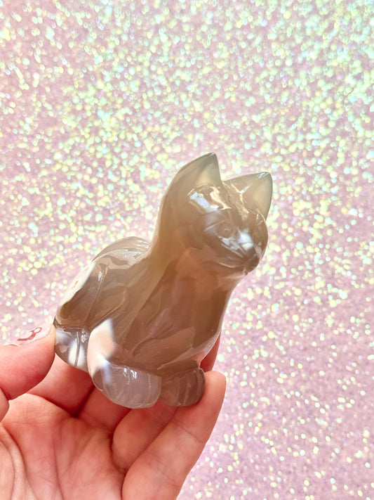 Orca Agate Cat