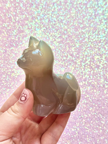 Orca Agate Cat