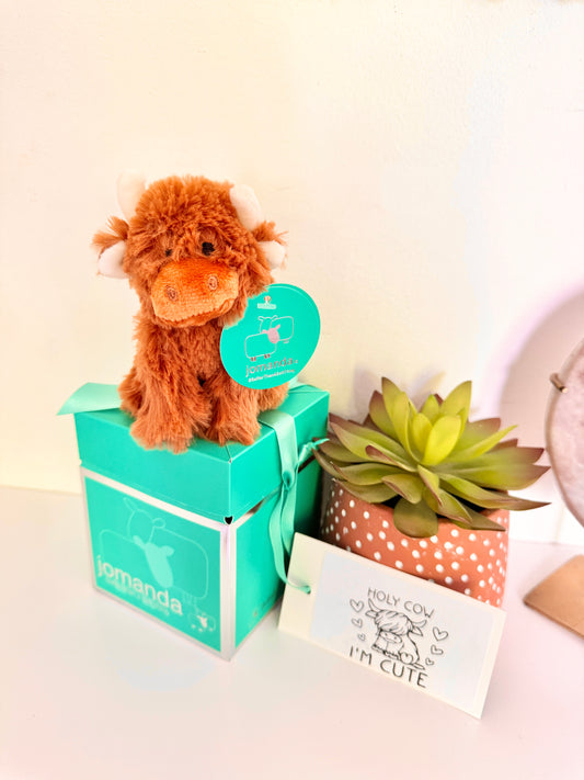 Holy Cow I'm Cute Highland Cow Baby Soft Mini Toy & Box