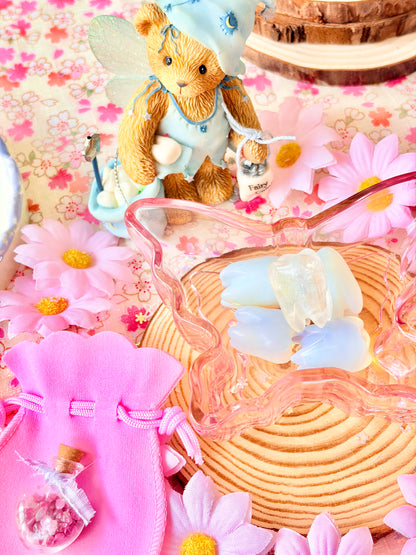 Magic Tooth Fairy Gift set